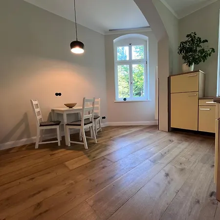 Διαμέρισμα Neu! Vogtland 3 Gaeste Und Baby Auerbach (Vogtland)