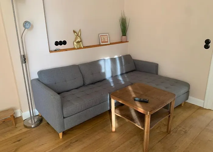 Neu! Vogtland 3 Gäste Und Baby Apartment